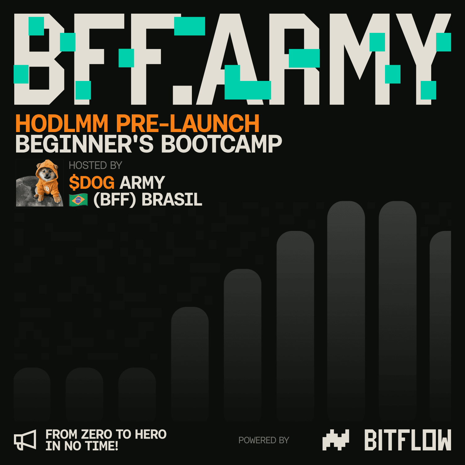 HODLMM Beginner’s Bootcamp w/ $DOG Army 🇧🇷 Brazil (Pre-Launch)